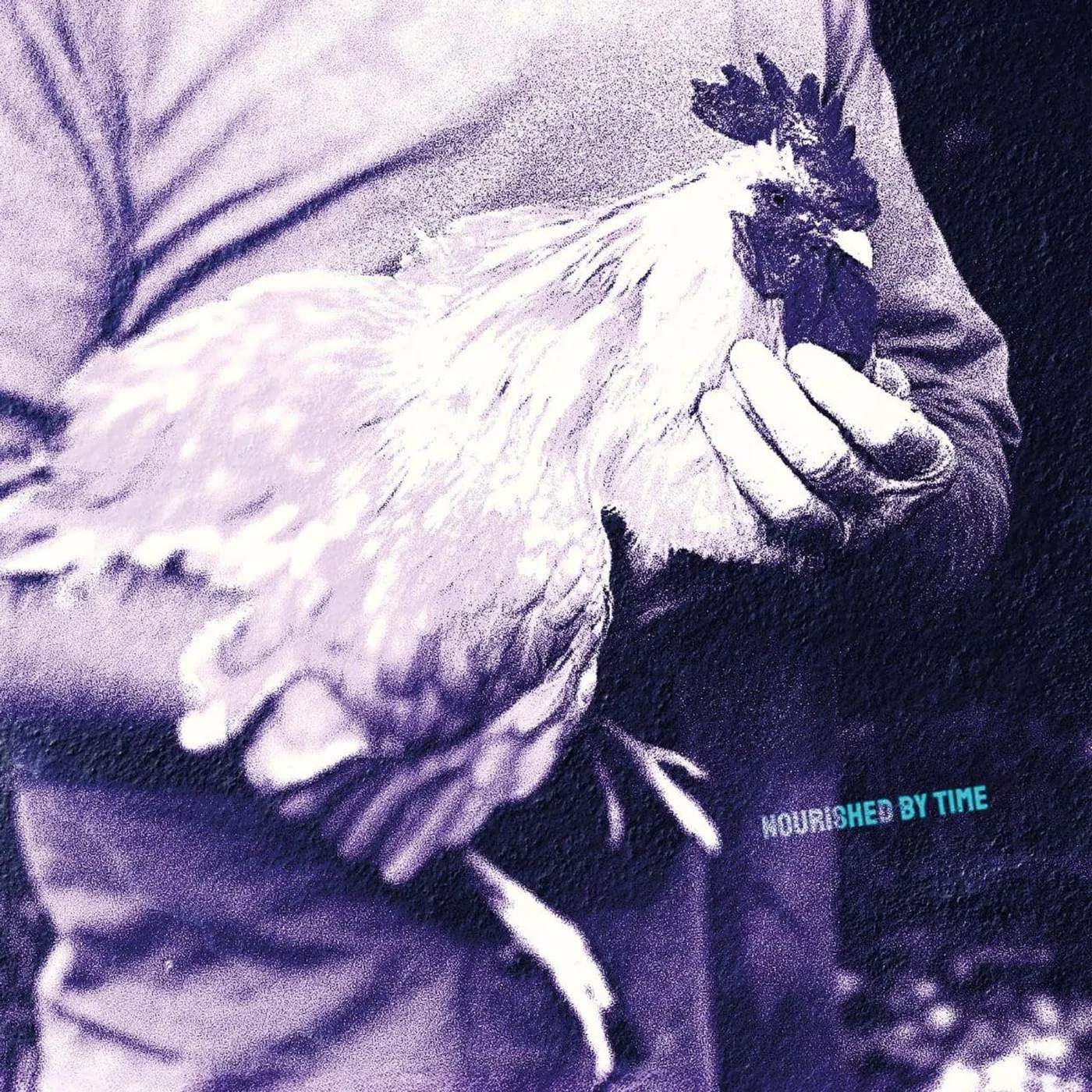 Nourished by Time CATCHING CHICKENS Vinyl Record