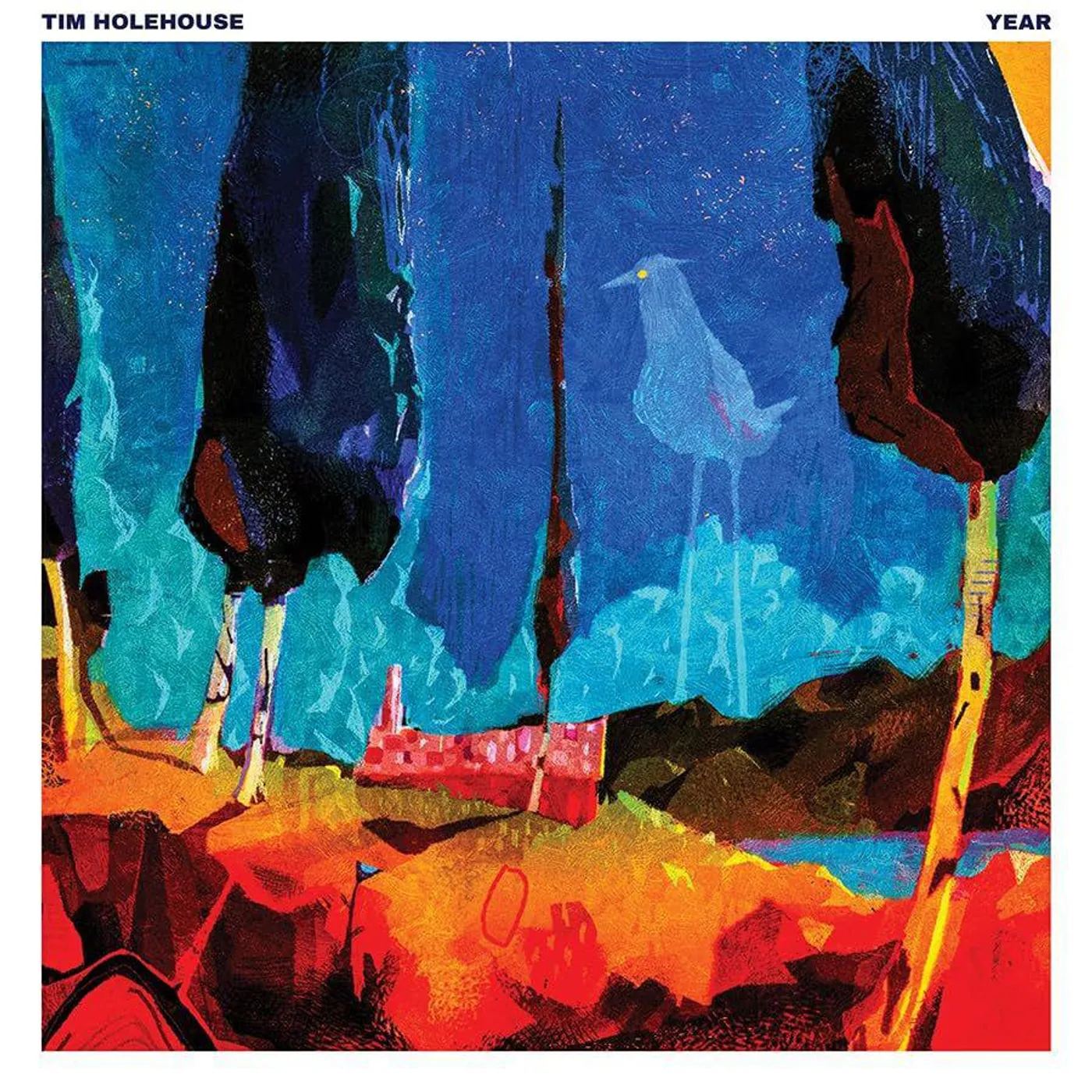 Tim Holehouse Year Vinyl Record