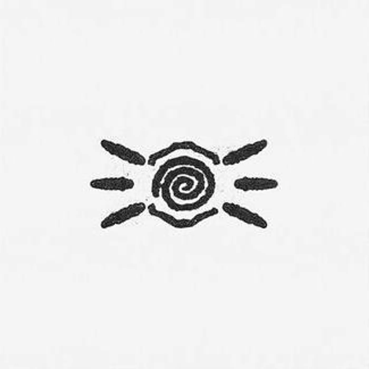 Void Of Vision Chronicles (Coke Bottle Clear) Vinyl Record