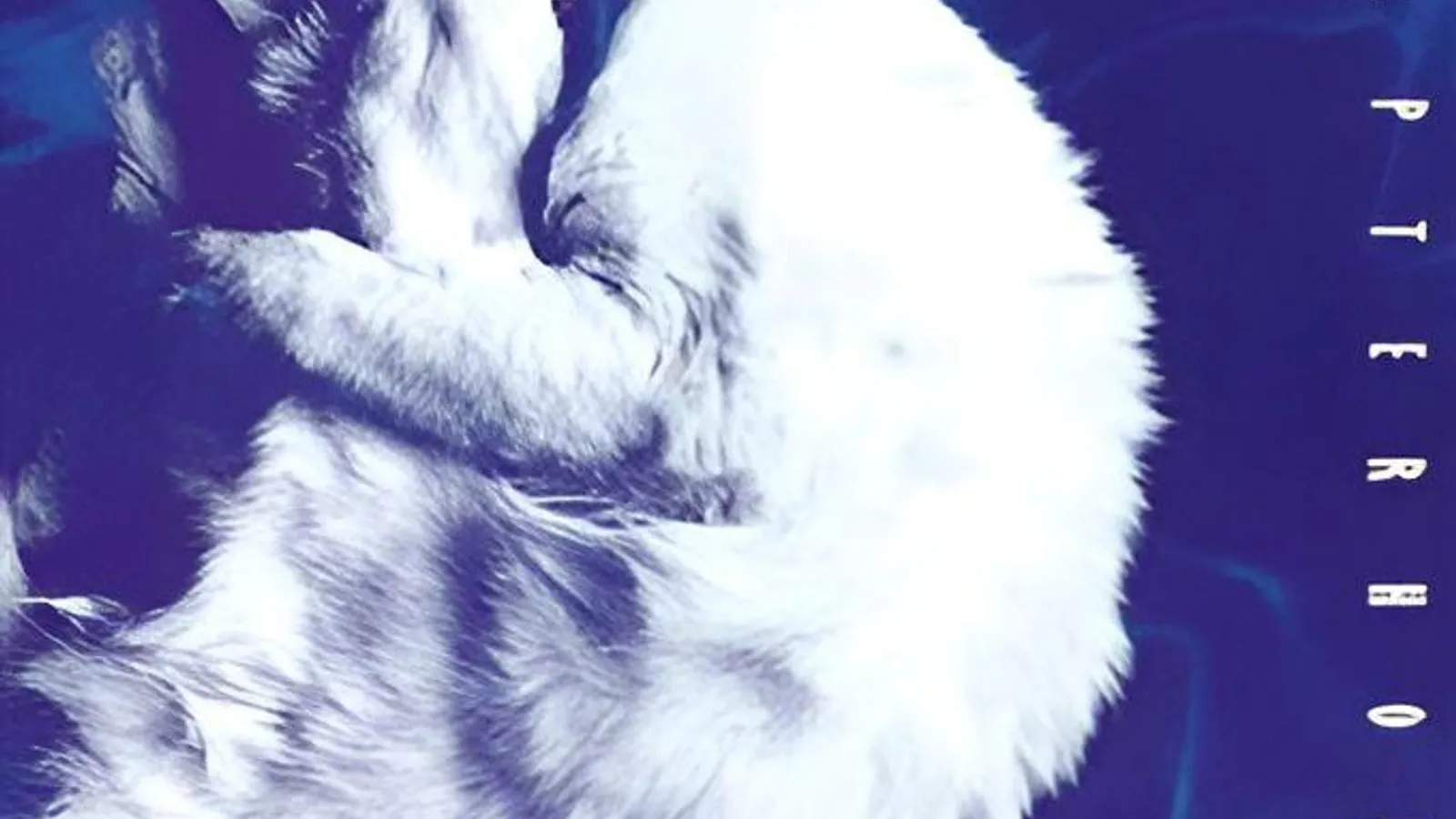 Chapterhouse WHIRLPOOL Vinyl Record