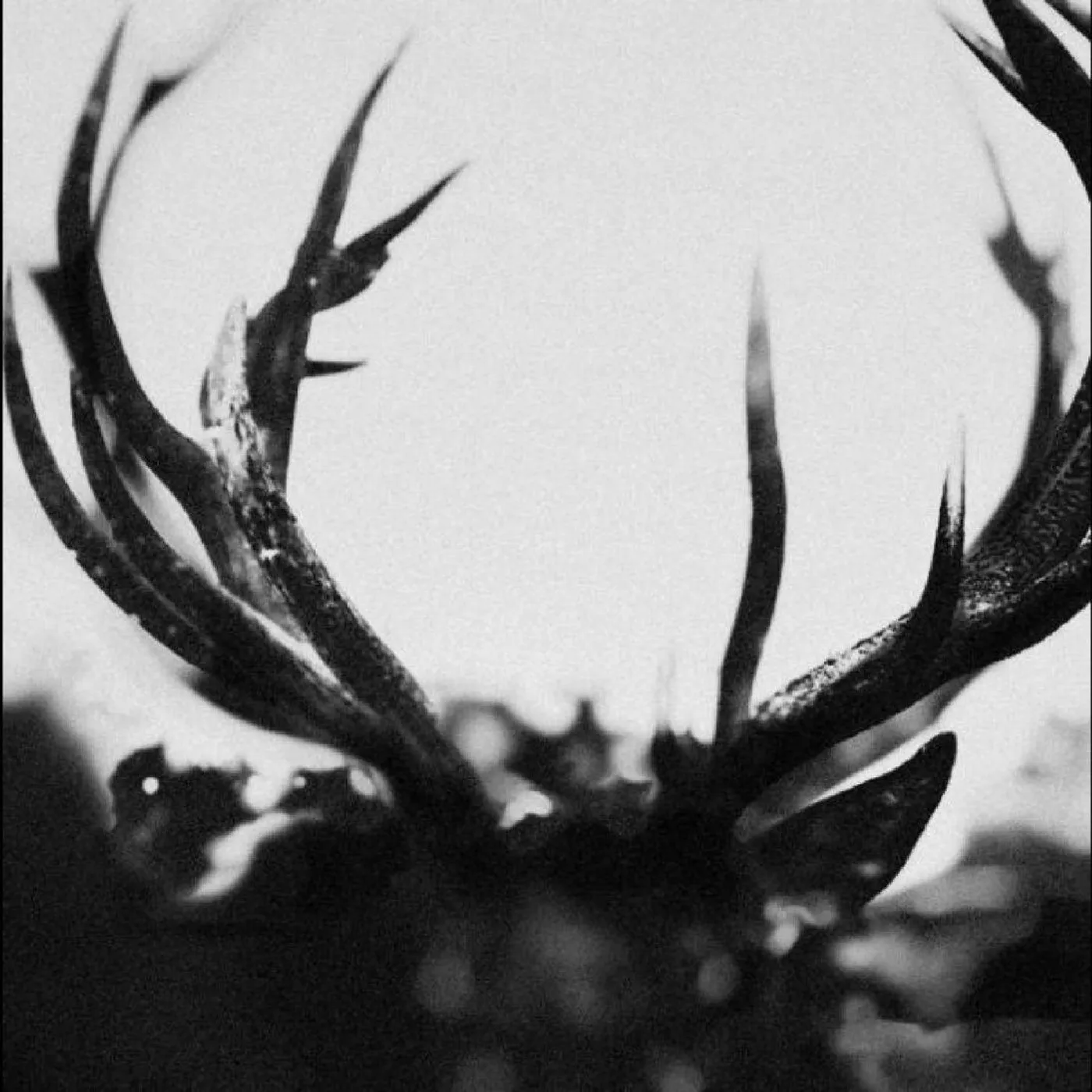  Ihsahn (White, Black, Splatter) Vinyl Record