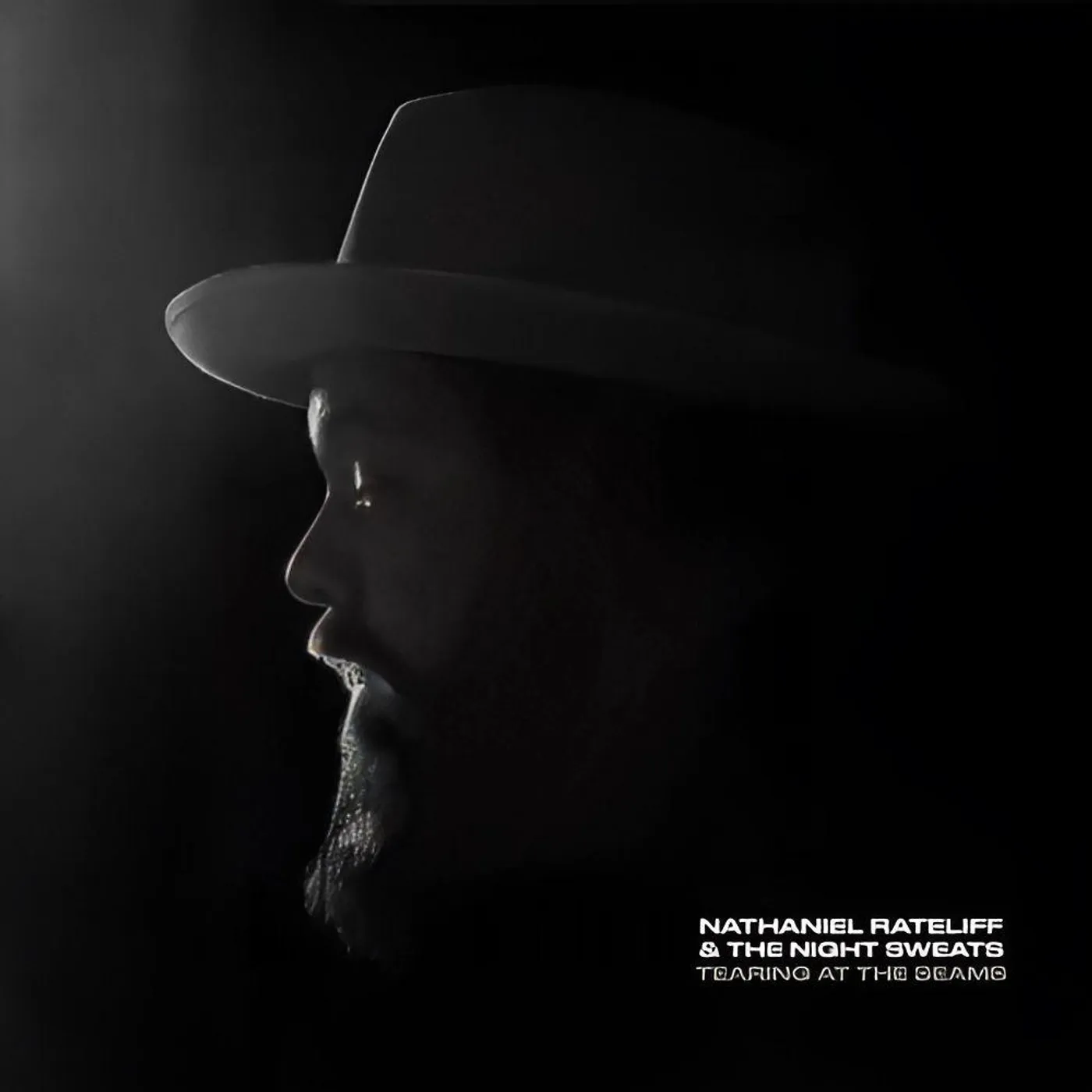 Nathaniel Rateliff Tearing At The Seams (2LP) Vinyl Record