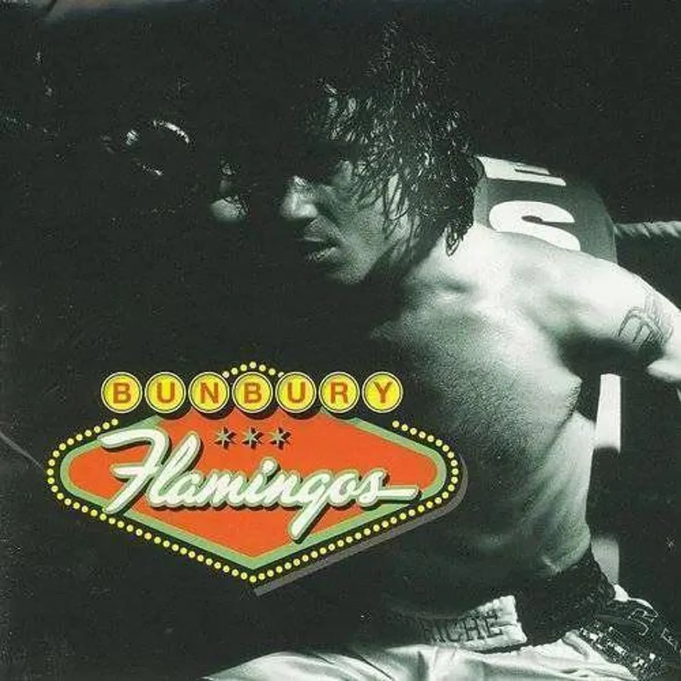 Bunbury Flamingos Vinyl Record
