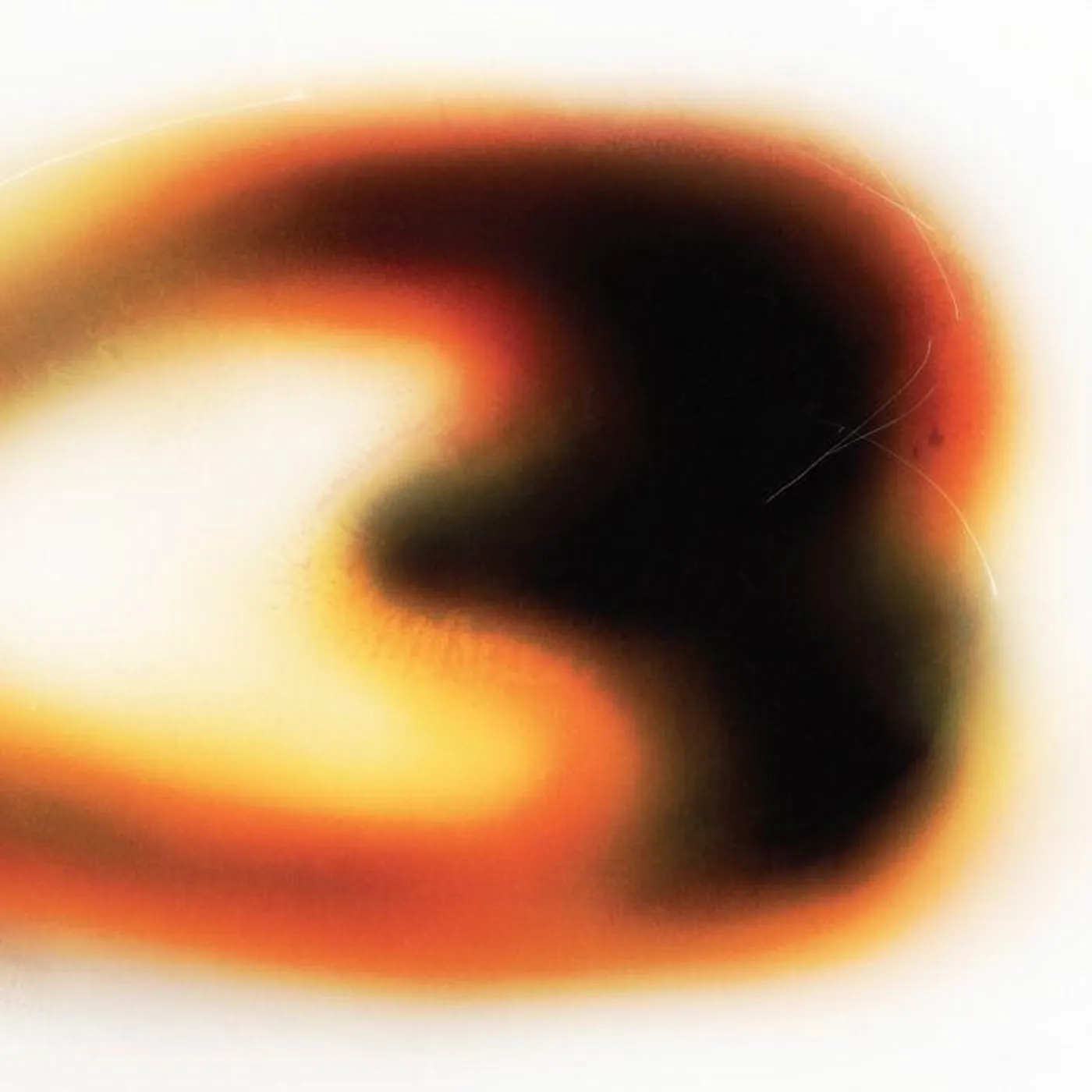 Still House Plants  If I Don't Make It, I Love U Vinyl Record