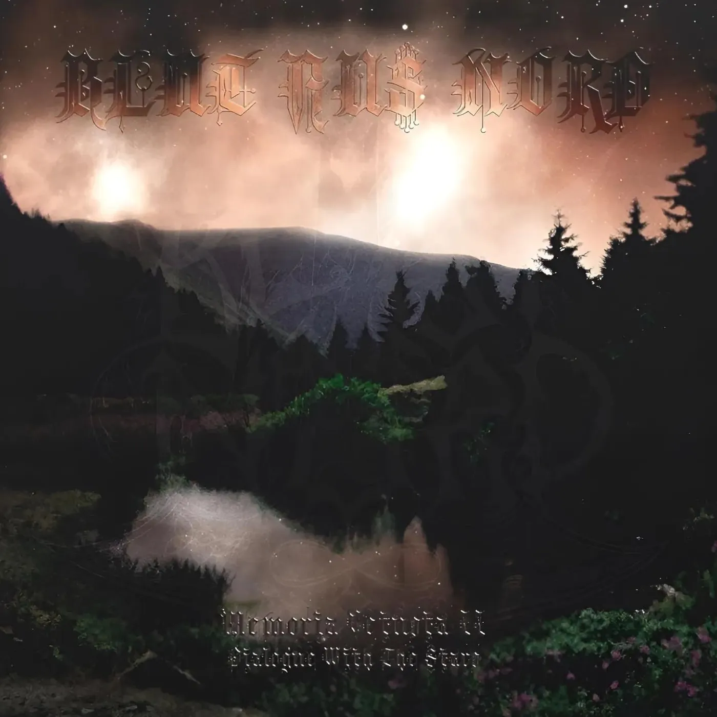 Blut Aus Nord Memoria Vetusta II - Dialogue With The Stars Vinyl Record