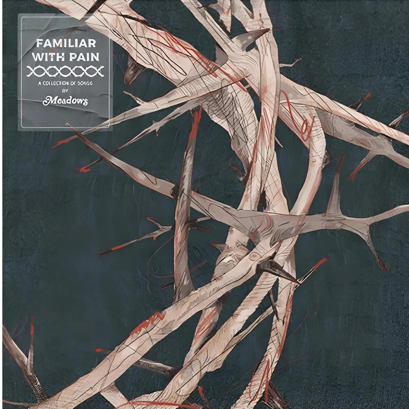 Meadows Familiar With Pain (Red, Limited Edition) Vinyl Record