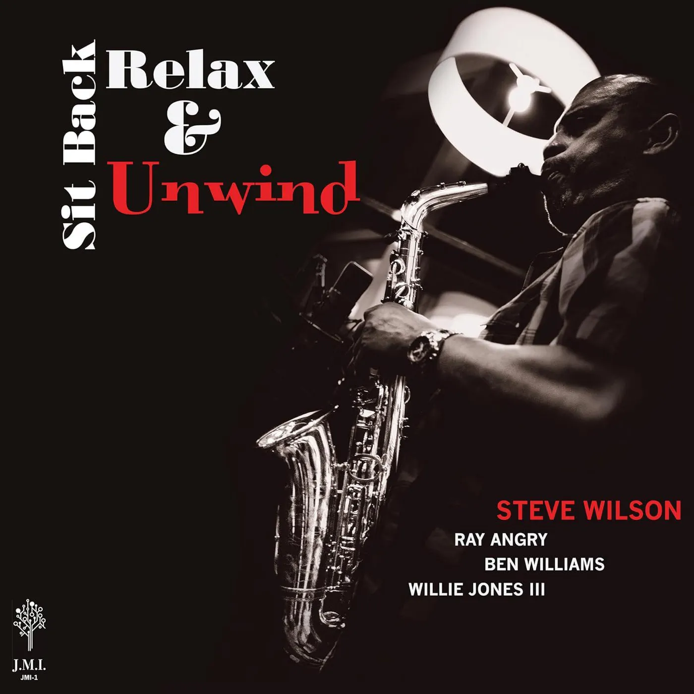 Steve Wilson Sit Back Relax & Unwind Vinyl Record