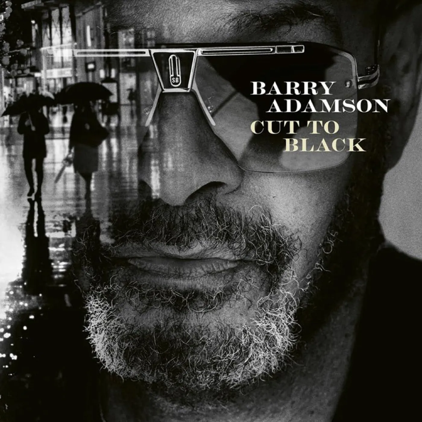 Barry Adamson Cut To Black Vinyl Record