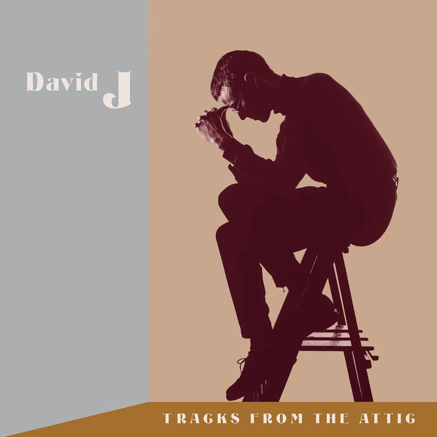 David J Tracks From The Attic (3LP/ Clear, Brown) Vinyl Record