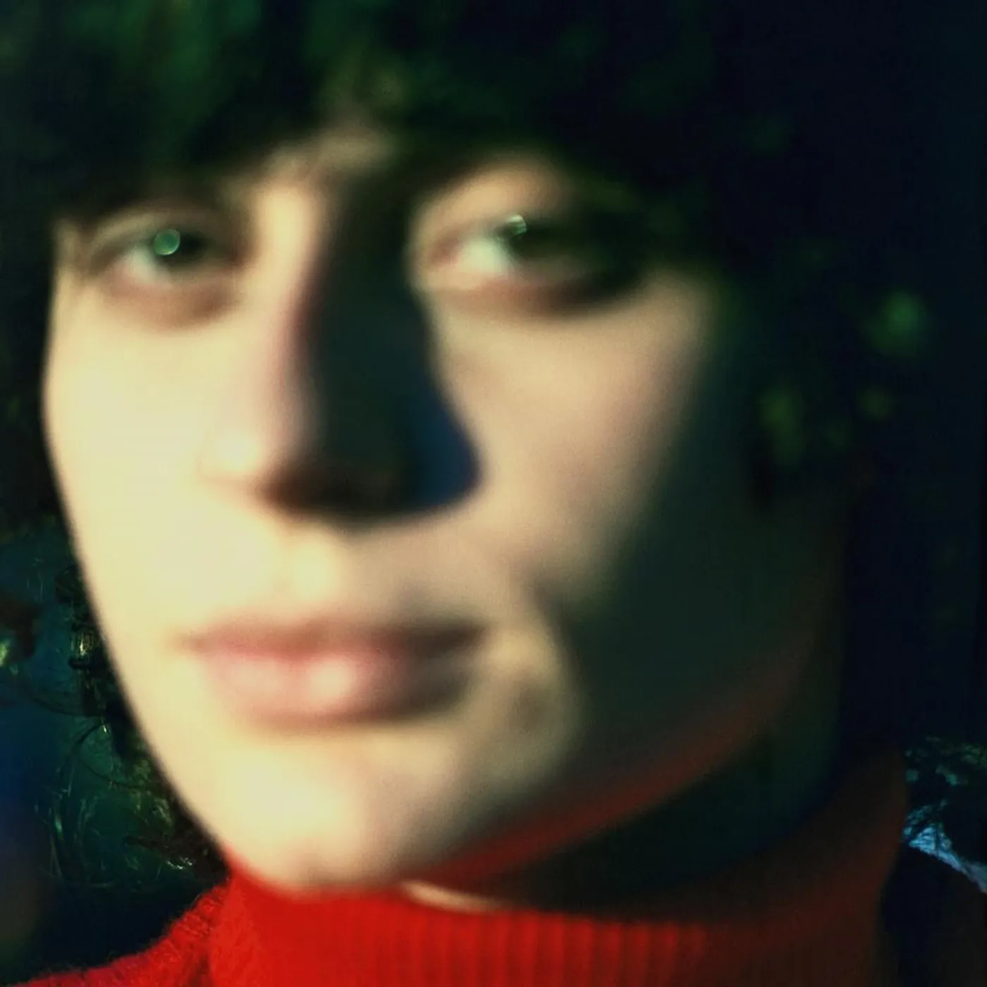 Ana Frango Elétrico Little Electric Chicken Heart Vinyl Record