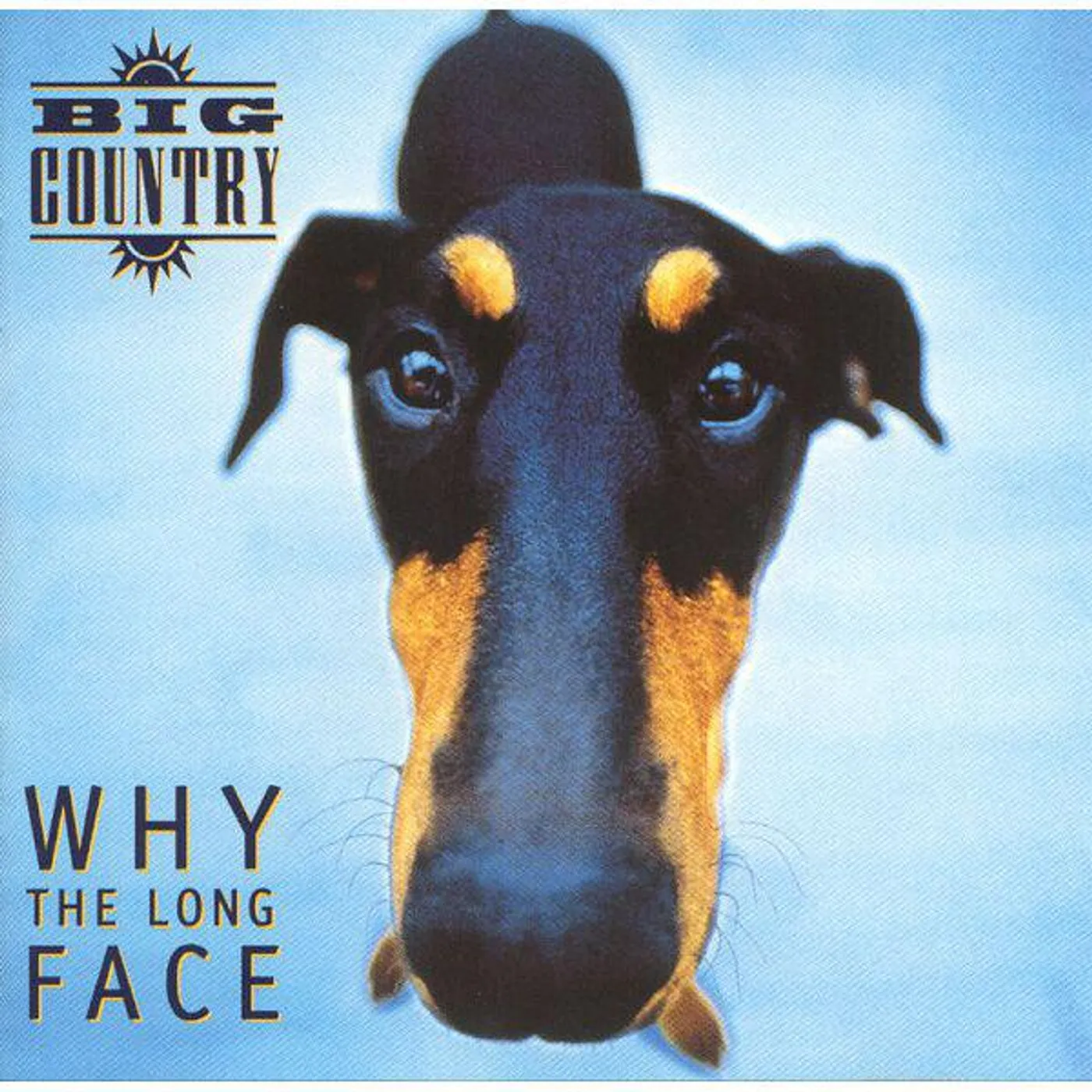 Big Country Why The Long Face (Limited/Turquoise ) Vinyl Record