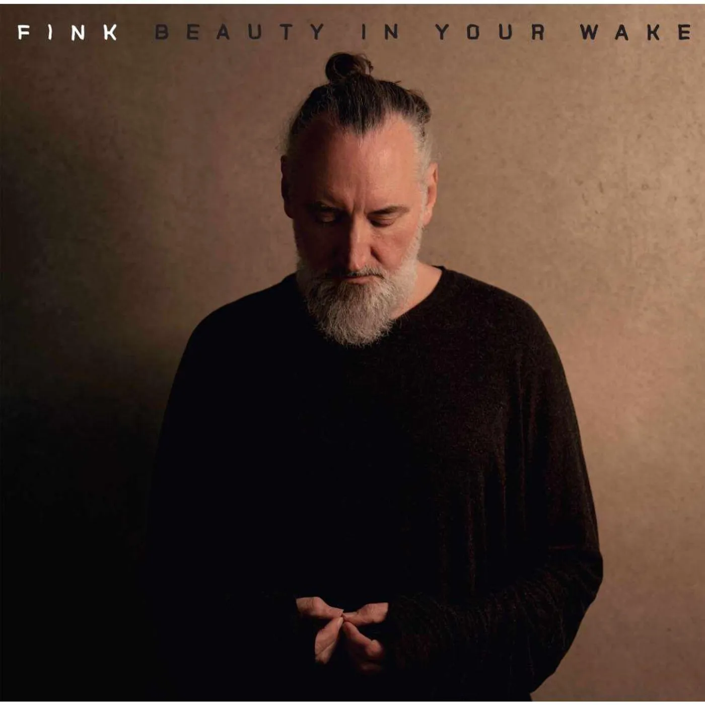 Fink Beauty In Your Wake (W/book) Vinyl Record