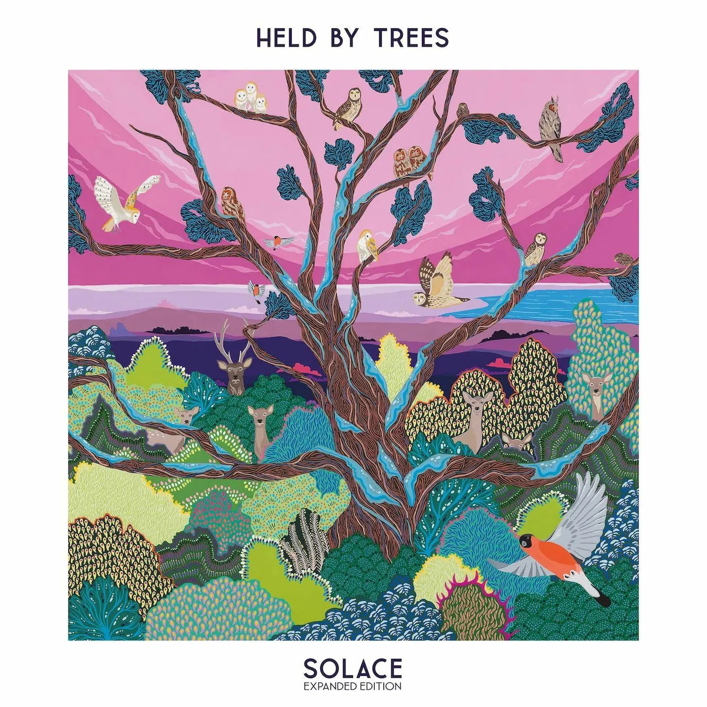 Held By Trees Solace (Limited Expanded Edition) Vinyl Record