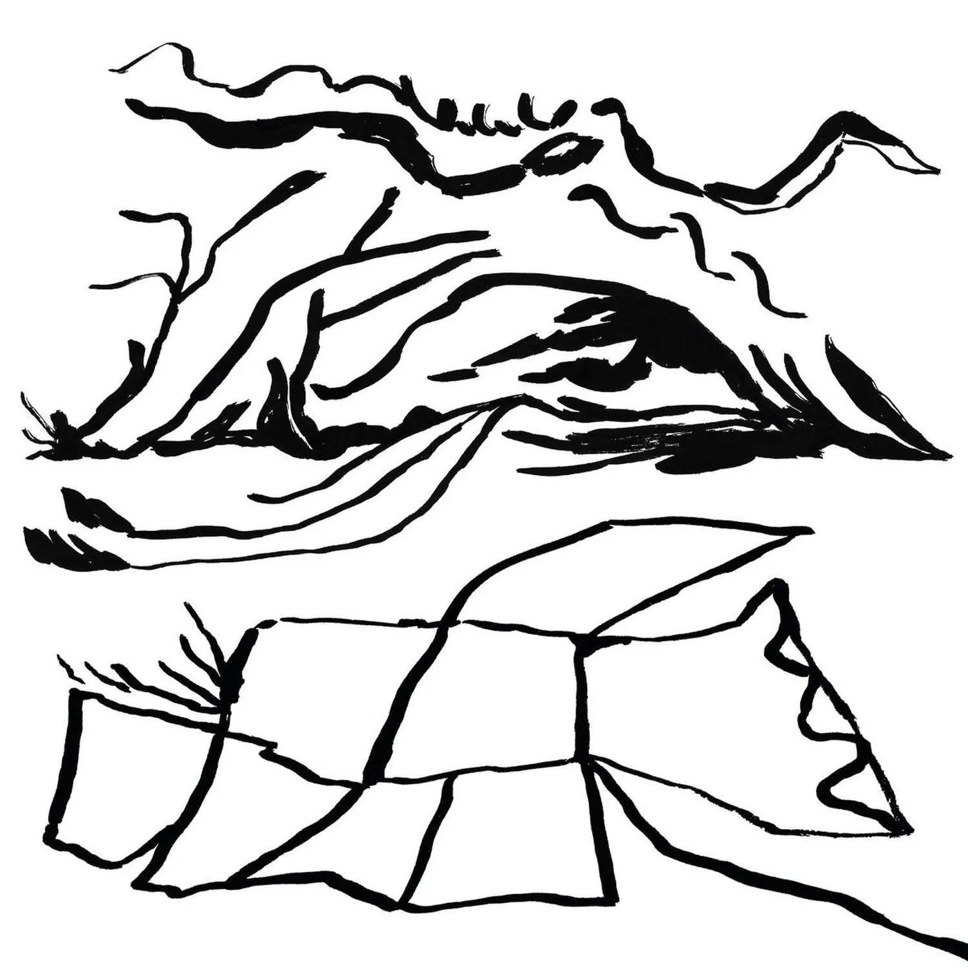 Kiran Leonard Real Home Vinyl Record