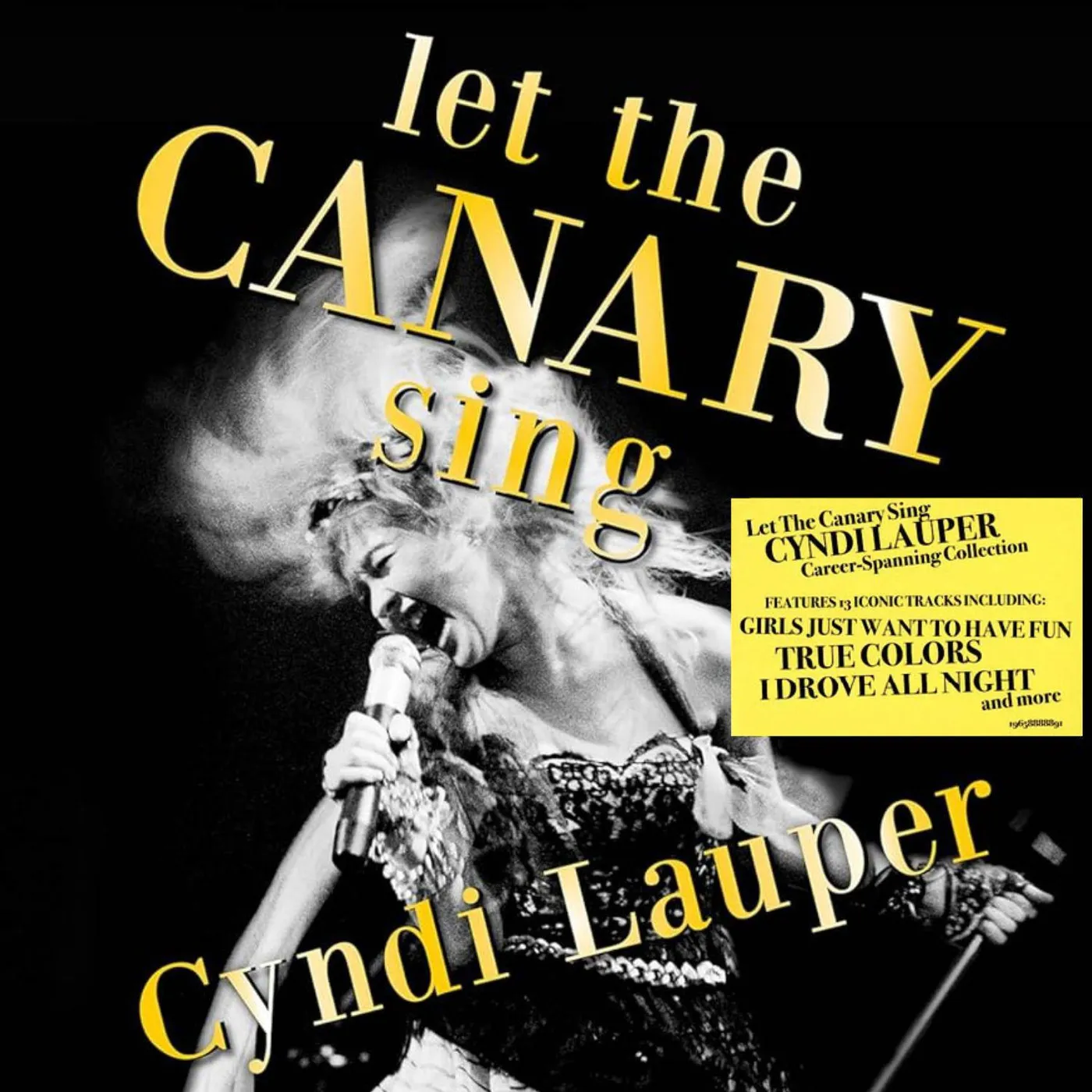 Cyndi Lauper Let The Canary Sing Vinyl Record