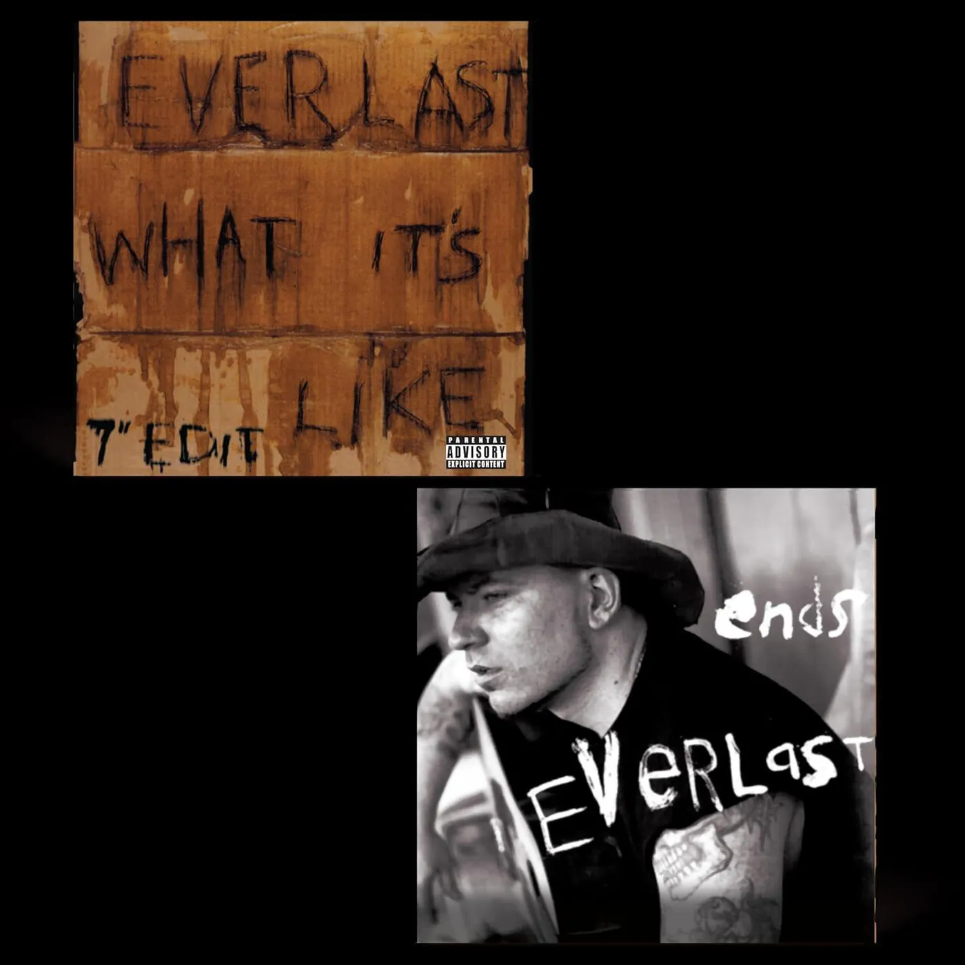 Everlast What It's Like/Ends Vinyl Record