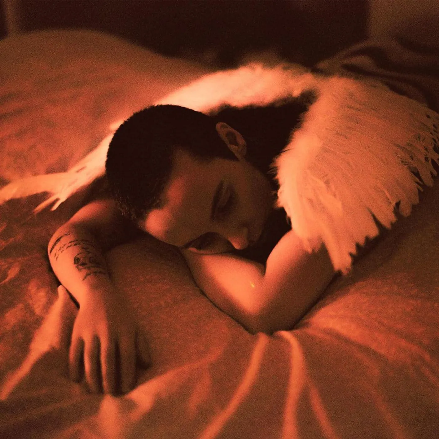 Sea Girls MIDNIGHT BUTTERFLIES Vinyl Record