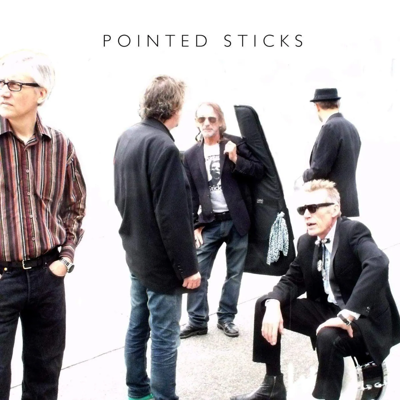 POINTED STICKS Vinyl Record