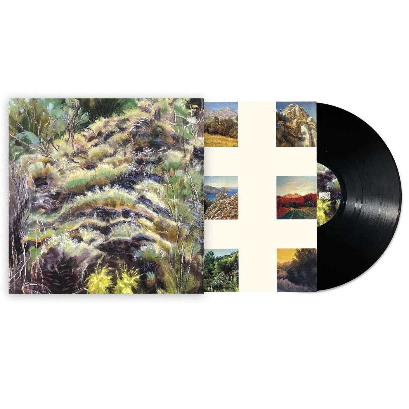 Swim Surreal In The Half Light Vinyl Record