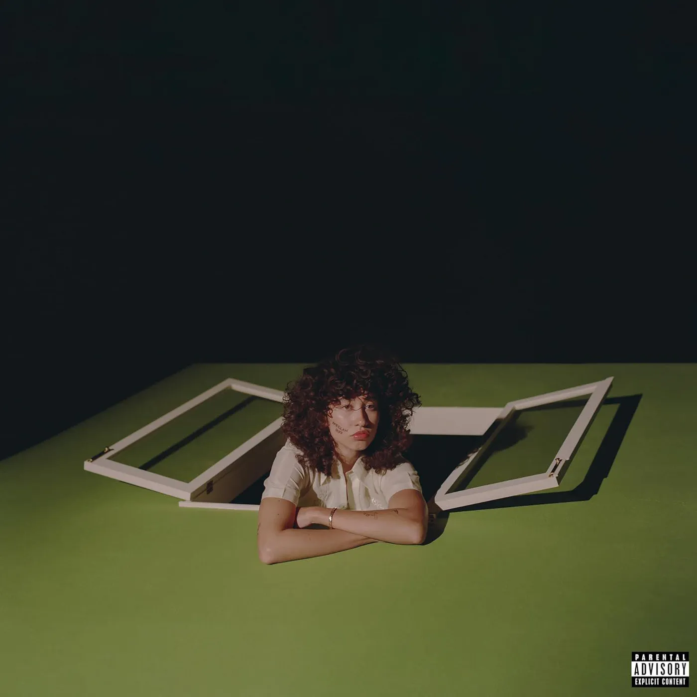 Towa Bird American Hero Vinyl Record