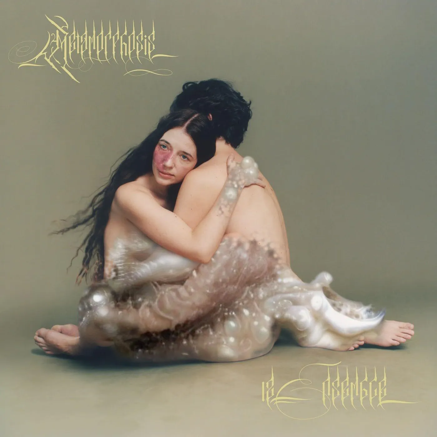 12 Ensemble Metamorphosis Vinyl Record