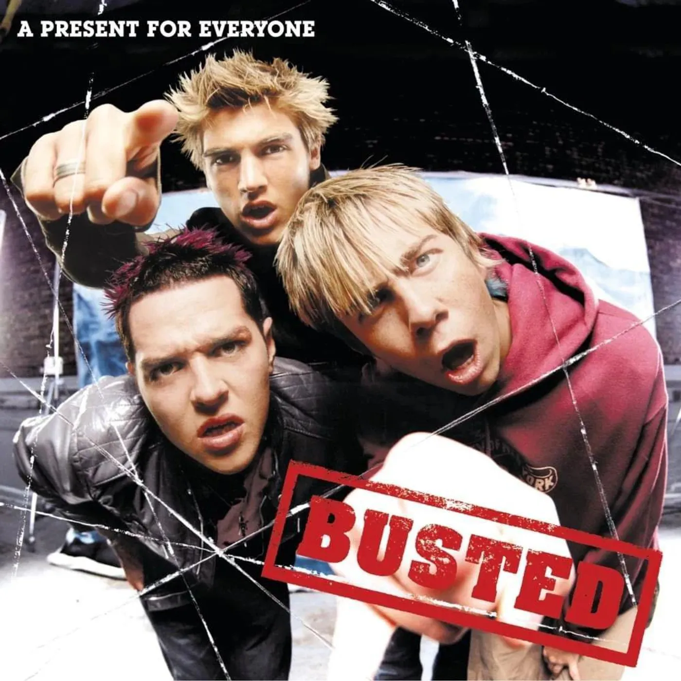 Busted Present For Everyone Vinyl Record