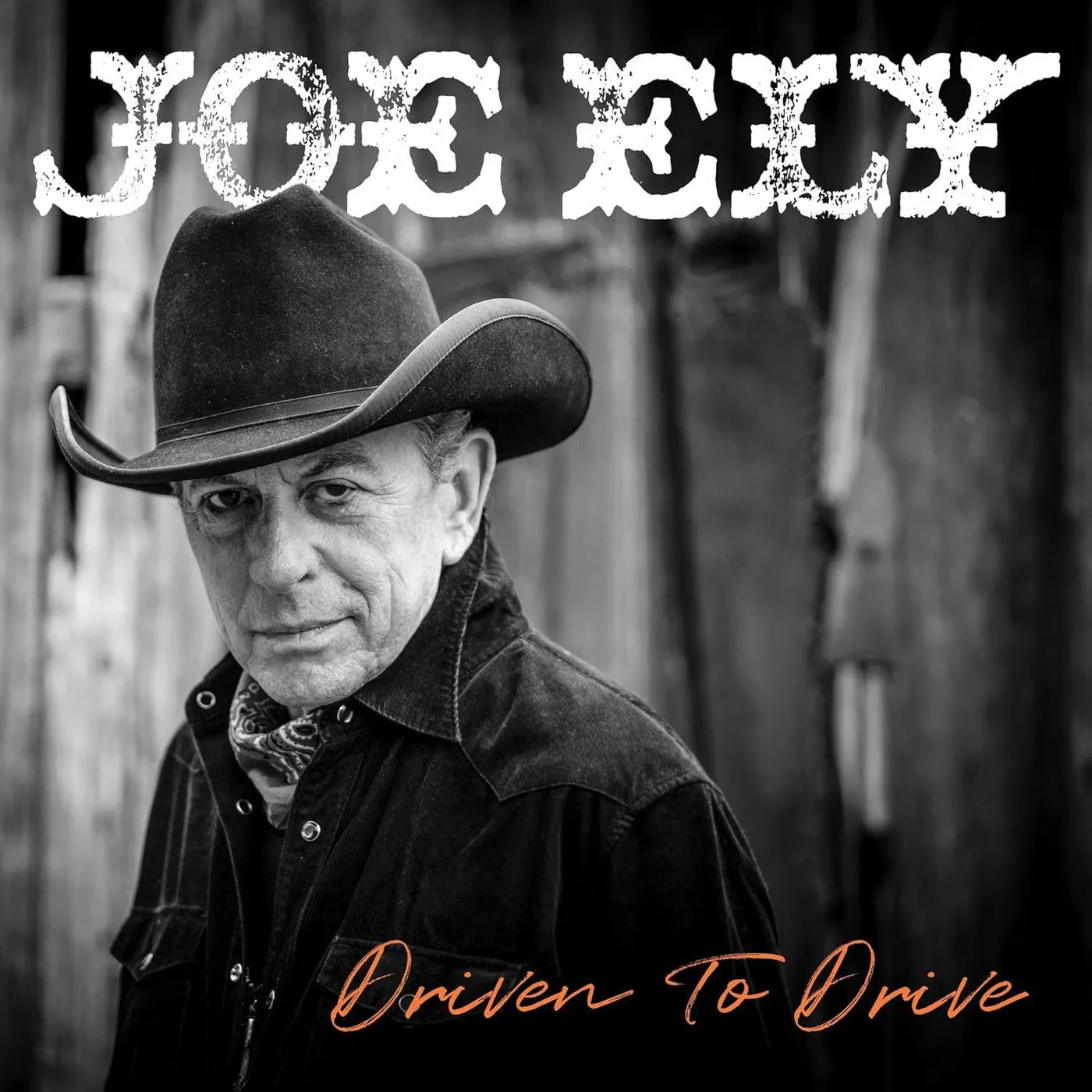 Joe Ely Driven To Drive Vinyl Record