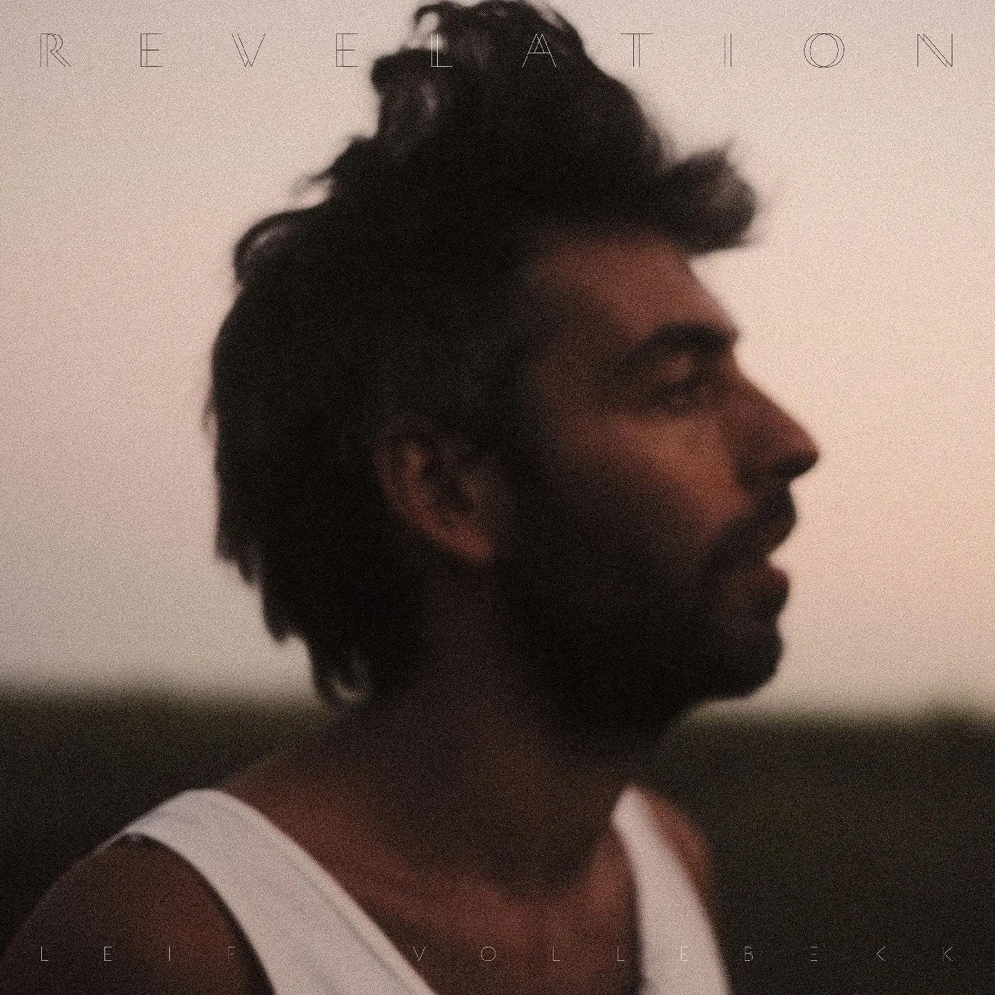 Leif Vollebekk Revelation (2LP) Vinyl Record
