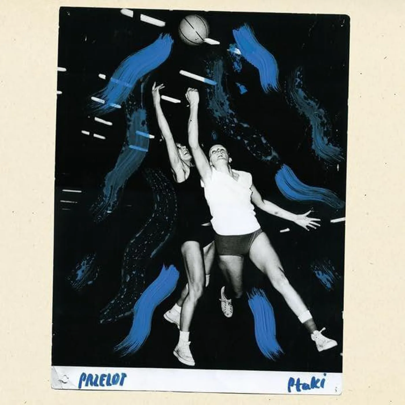 Ptaki PRZELOT Vinyl Record