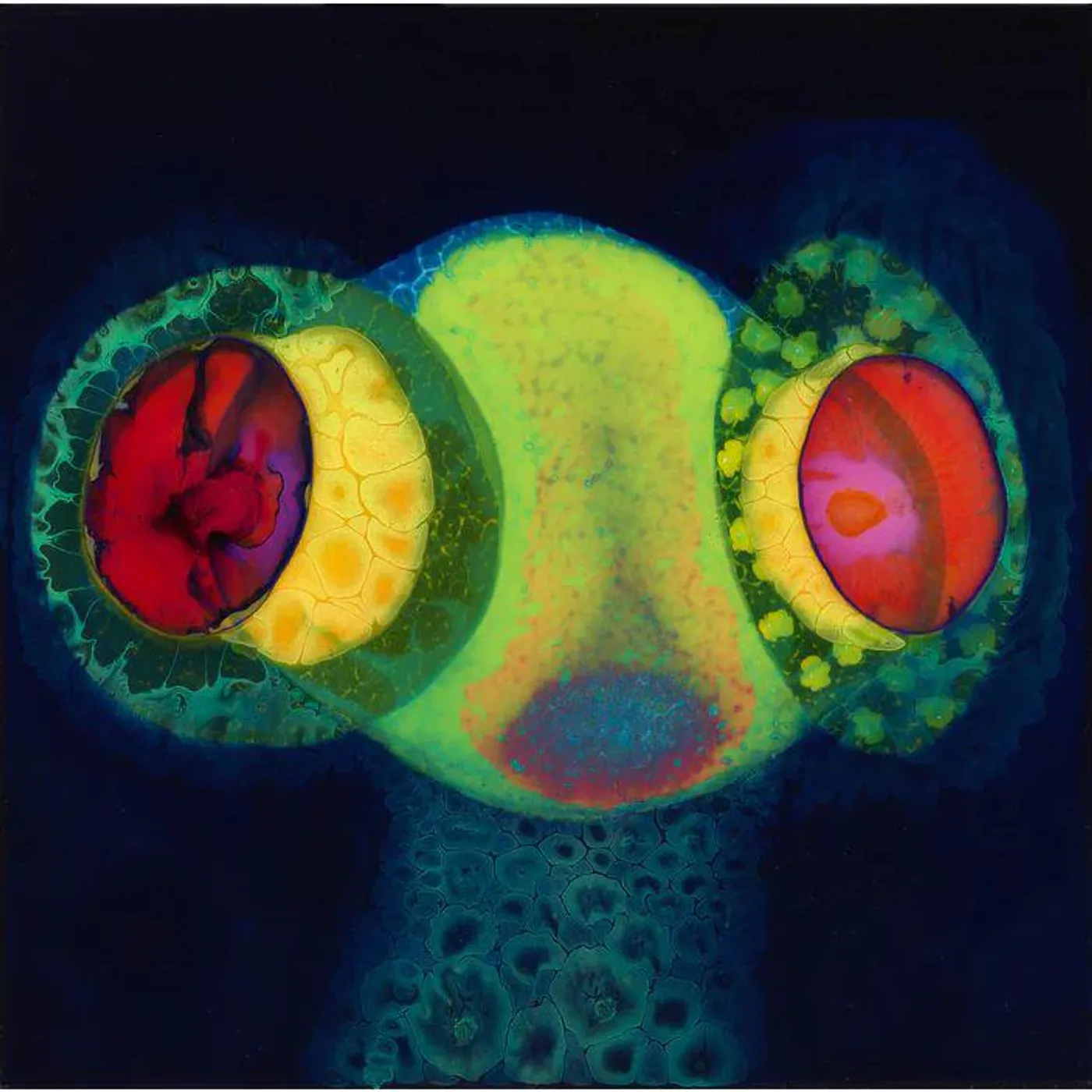 Osees Sorcs 80 (Geen/Mgta) Vinyl Record