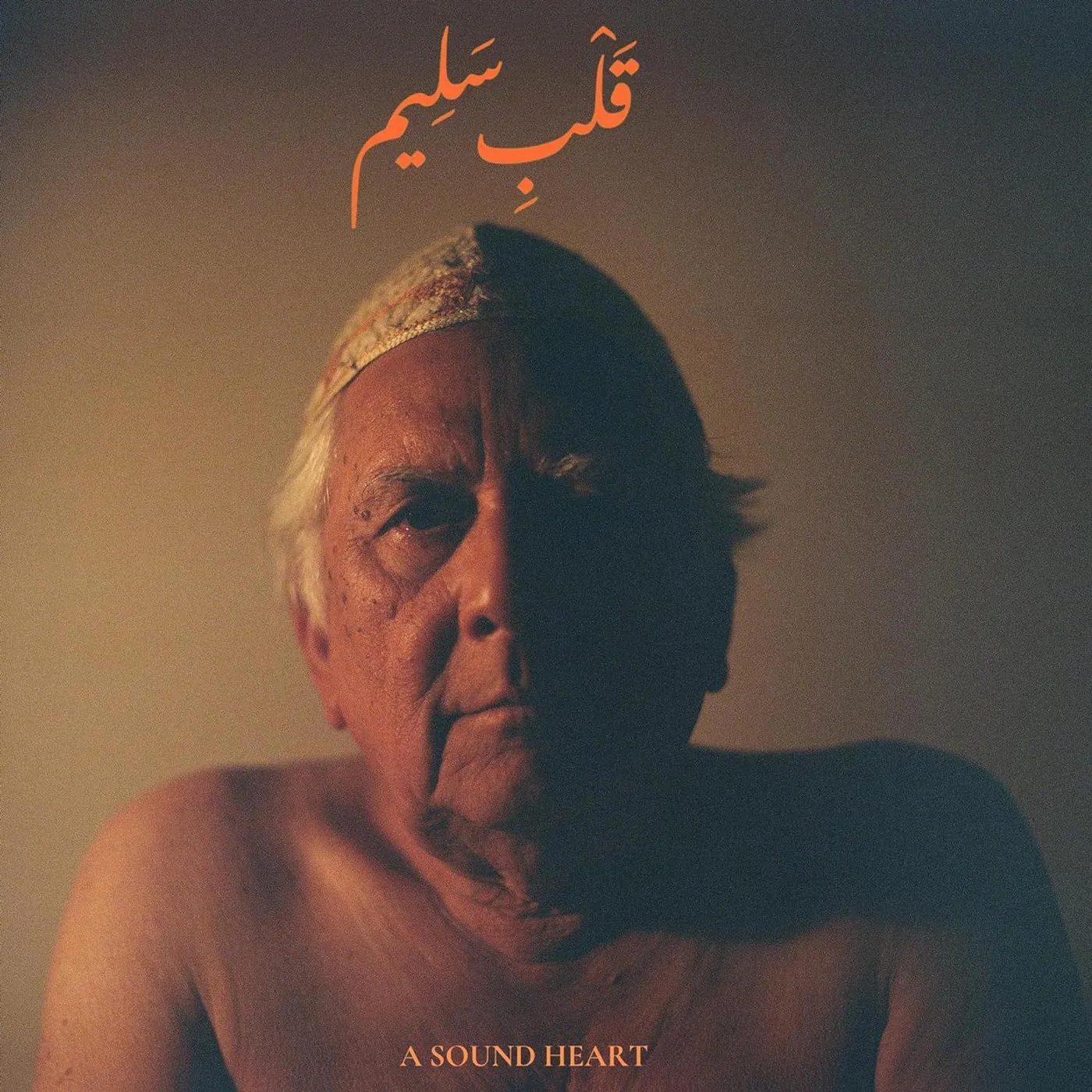 Jaubi Sound Heart Vinyl Record