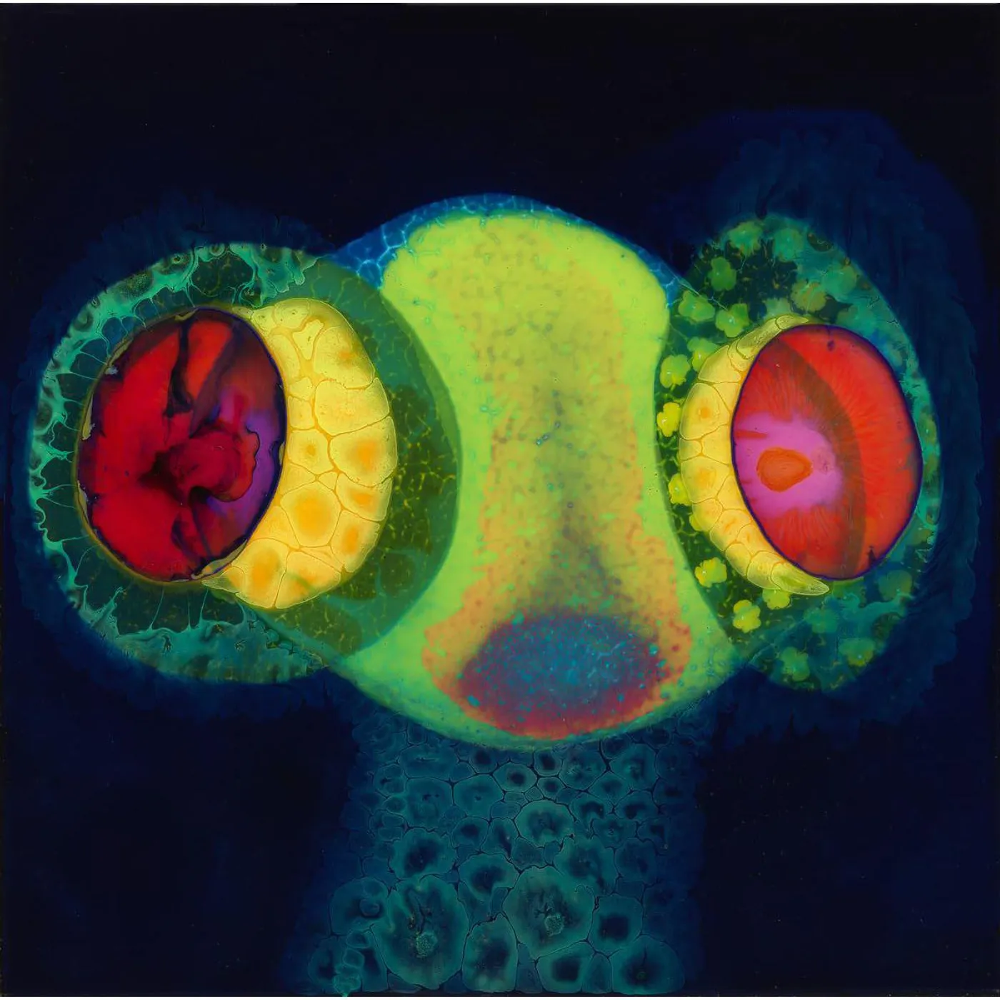 Osees Sorcs 80 Vinyl Record