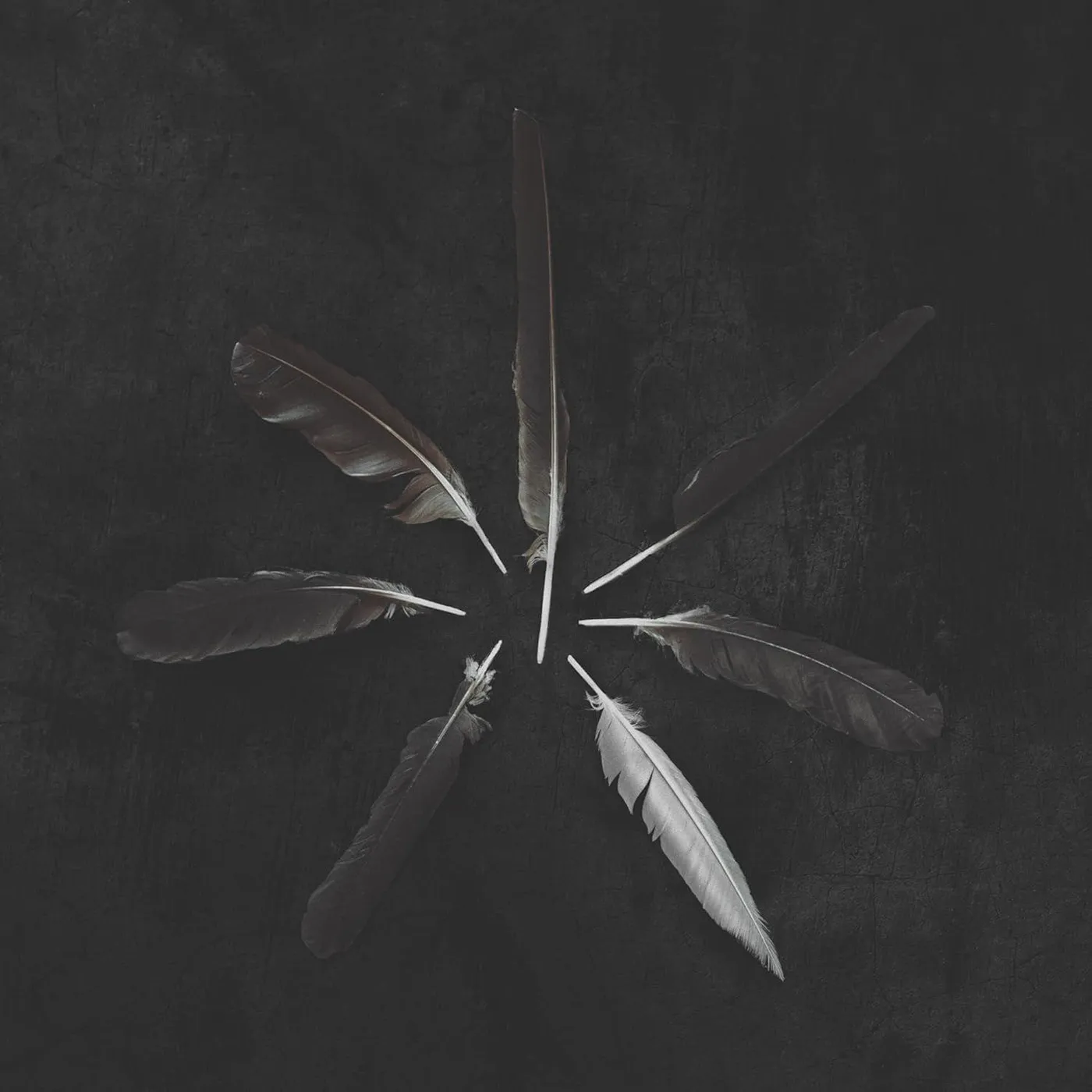 Caspian Dust And Disquiet Vinyl Record