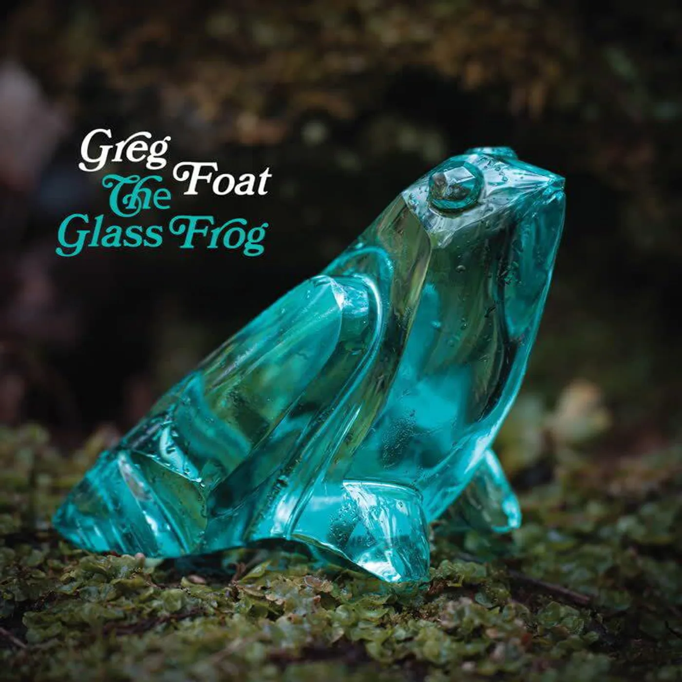 Greg Foat Glass Frog Vinyl Record
