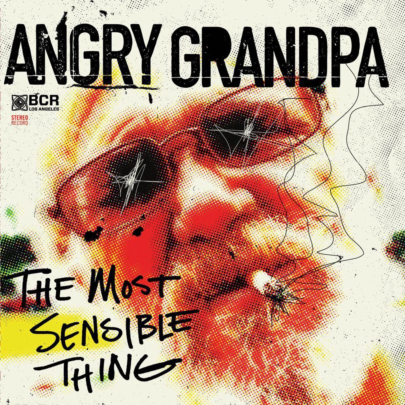 Angry Grandpa Most Sensible Thing Vinyl Record