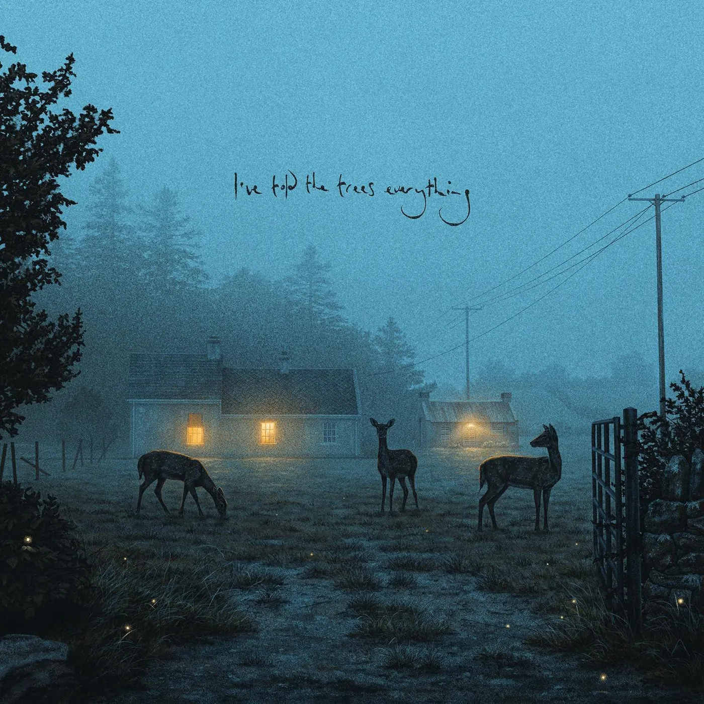 Dermot Kennedy I've Told The Trees Everything Vinyl Record