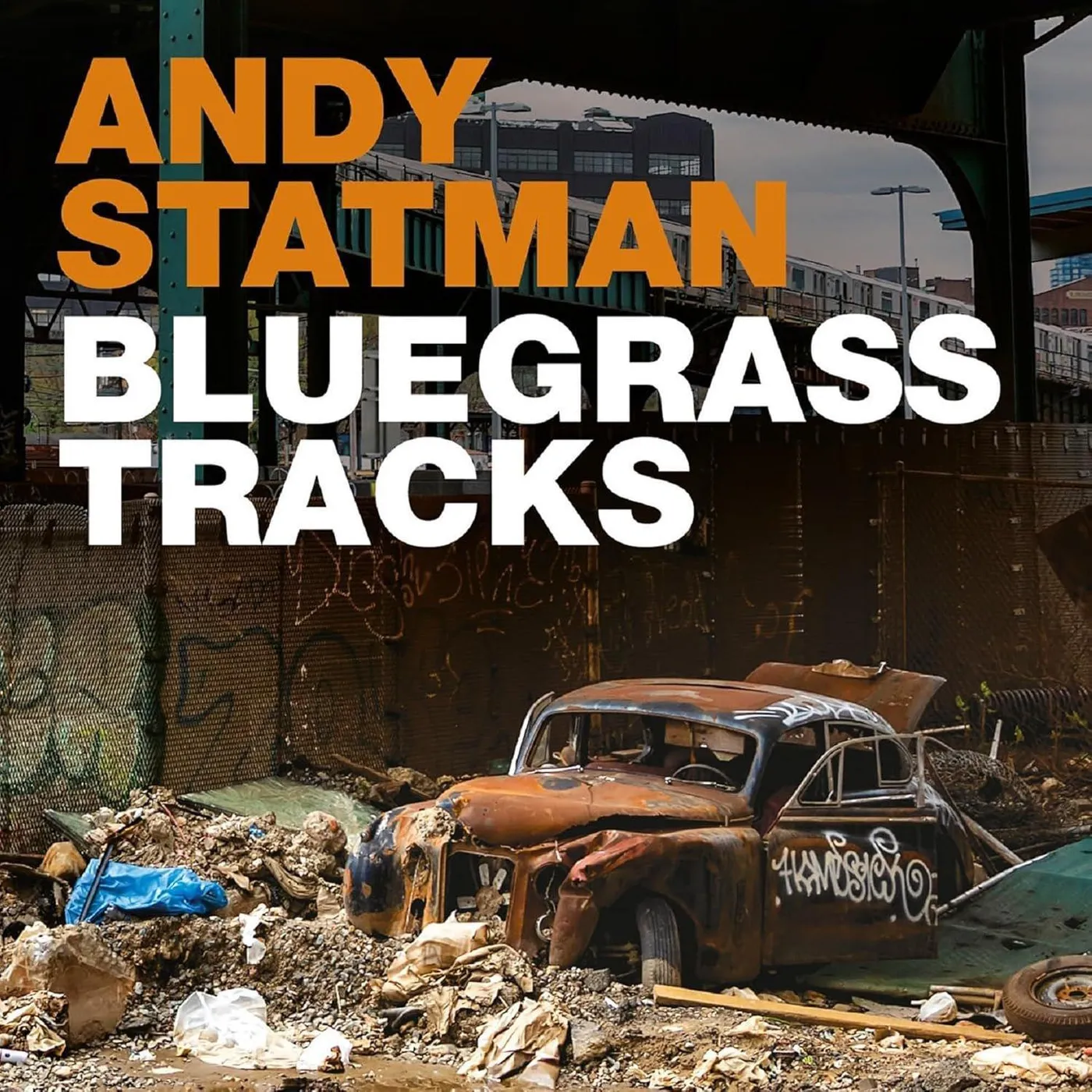 Andy Statman Bluegrass Tracks Vinyl Record