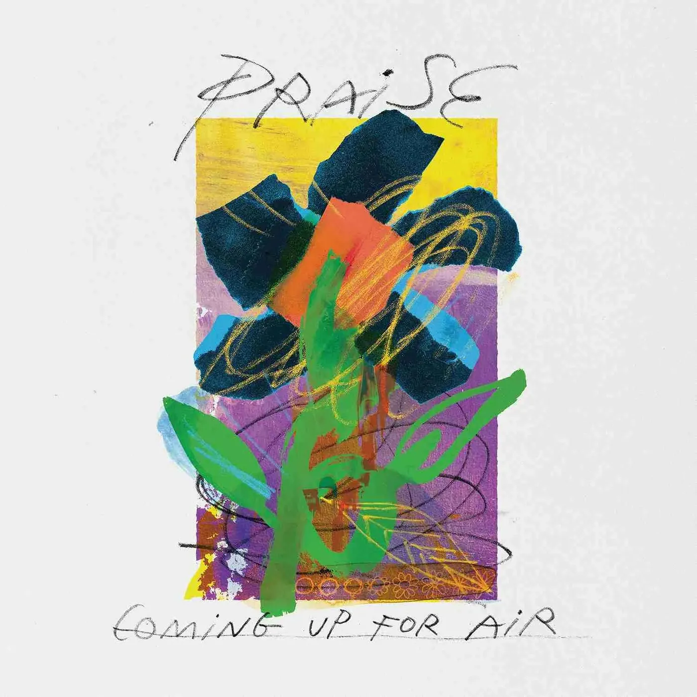 Praise Coming Up For Air Vinyl Record