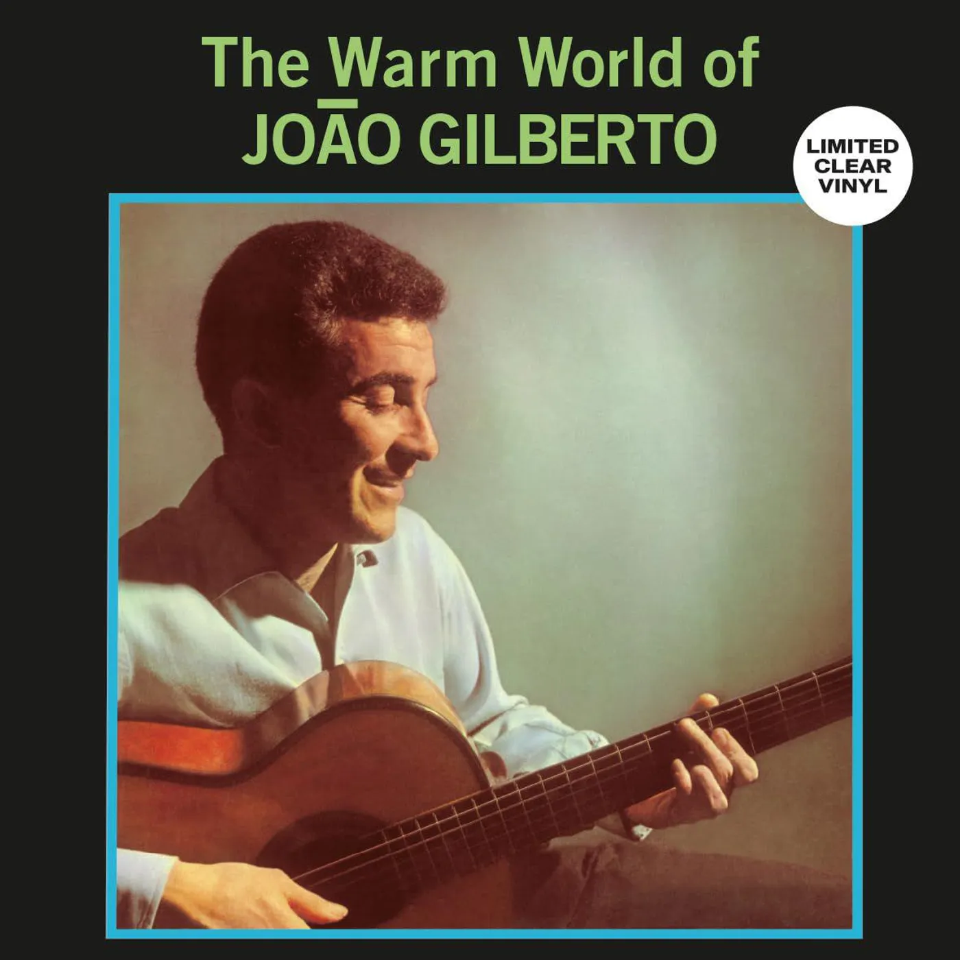  Warm World Of Joao Gilberto (Clear) Vinyl Record