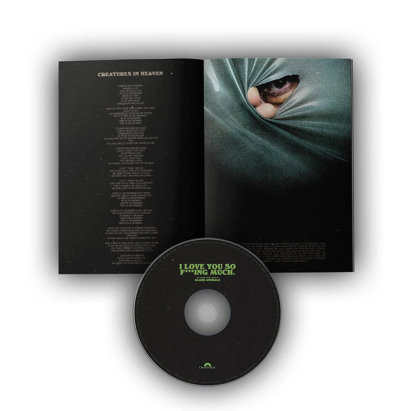 Glass Animals I Love You So F-ing Much Vinyl Record