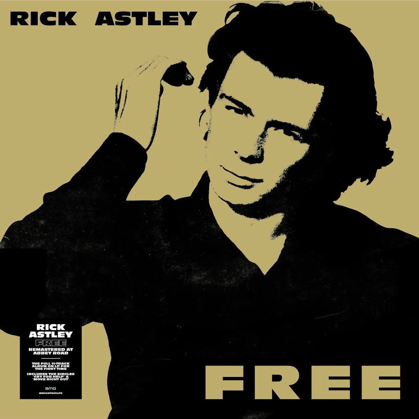 Rick Astley Free Vinyl Record