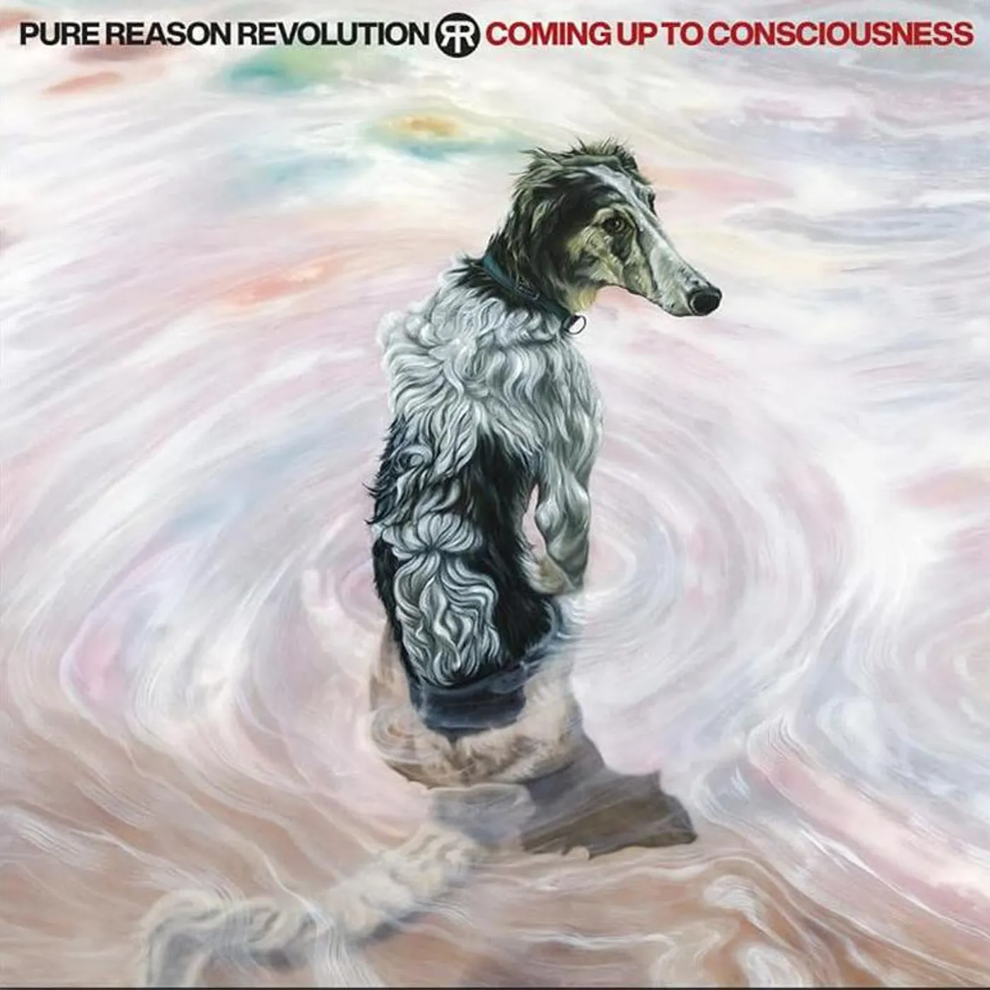 Pure Reason Revolution Coming Up To Consciousness (Blue) Vinyl Record