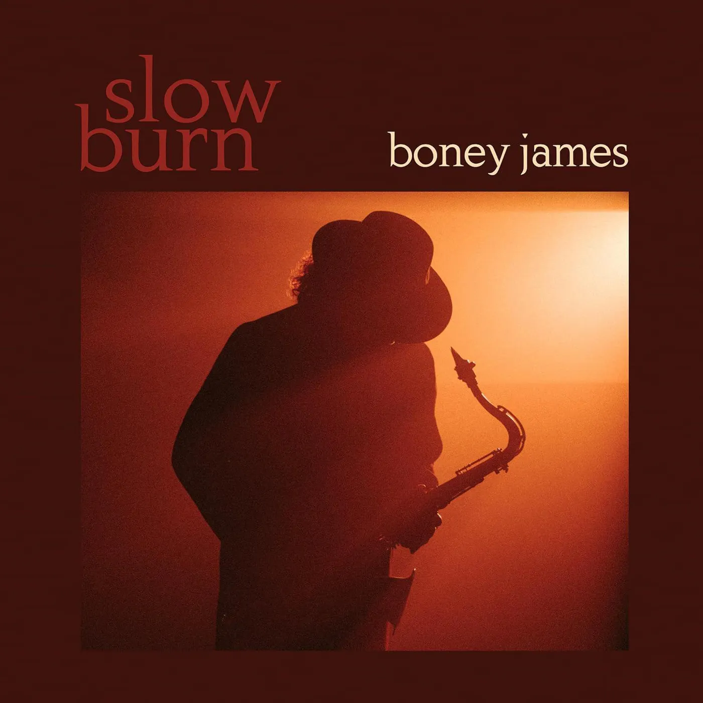 Boney James Slow Burn Vinyl Record