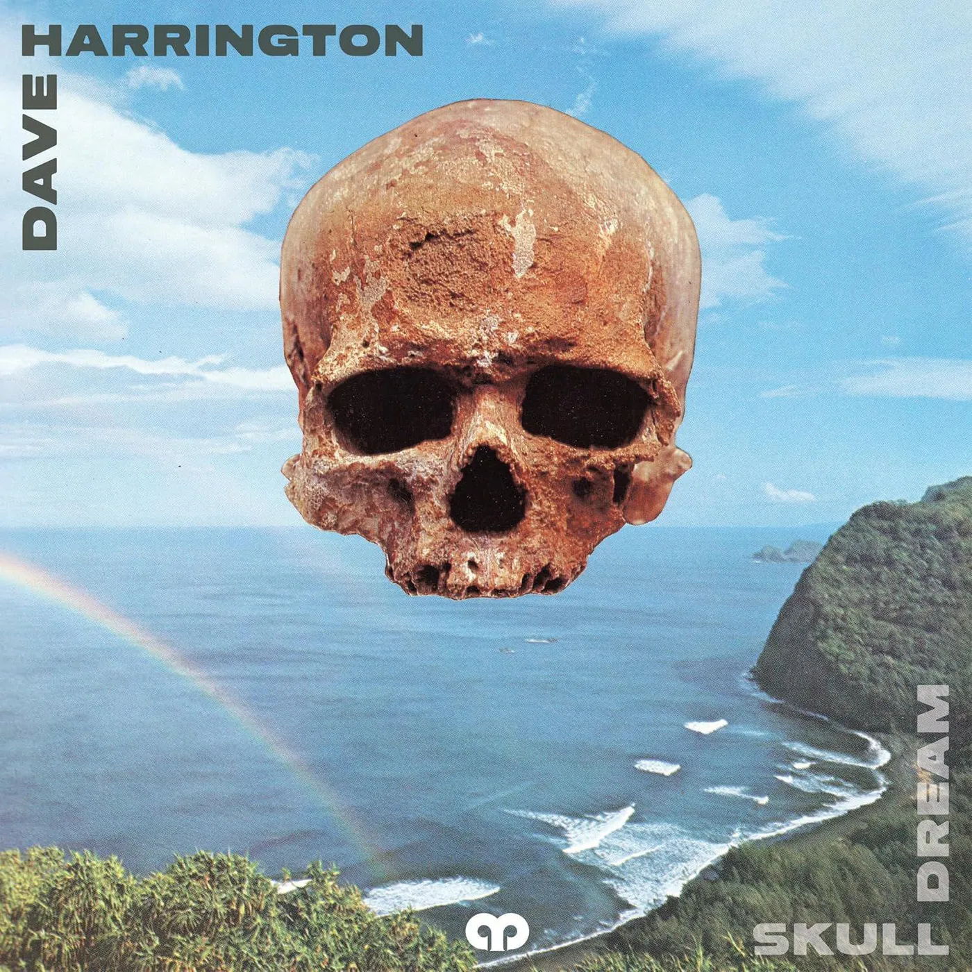 Dave Harrington Skull Dream Vinyl Record