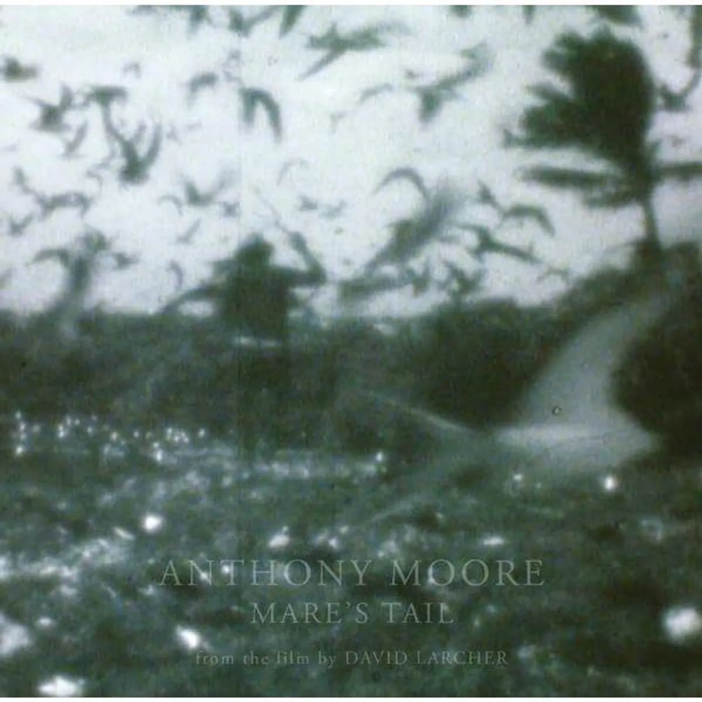 Anthony Moore Mare's Tail Vinyl Record