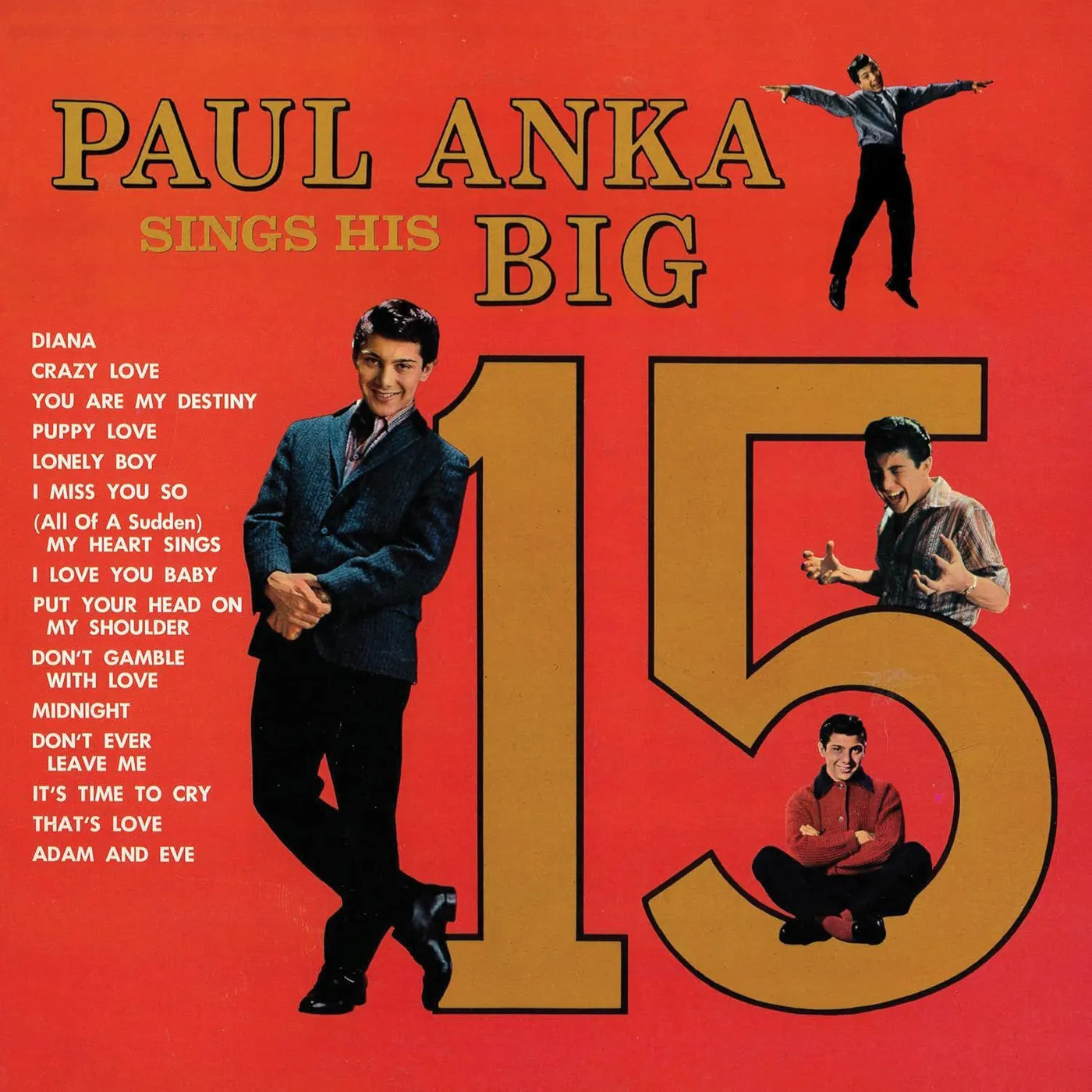 Paul Anka Sings His Big 15 Vinyl Record