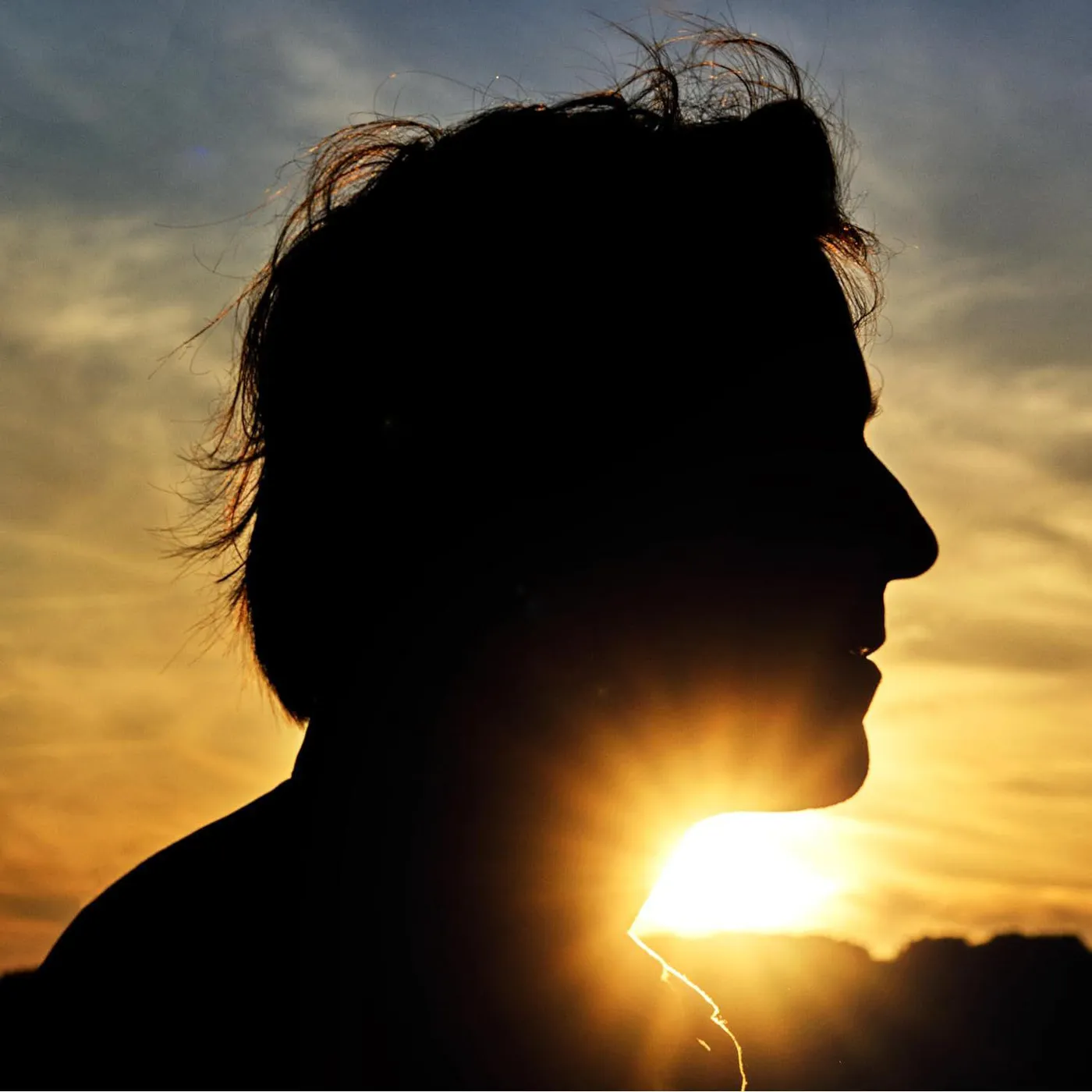 Thomas Dutronc Il N'est Jamais Trop Tard Vinyl Record