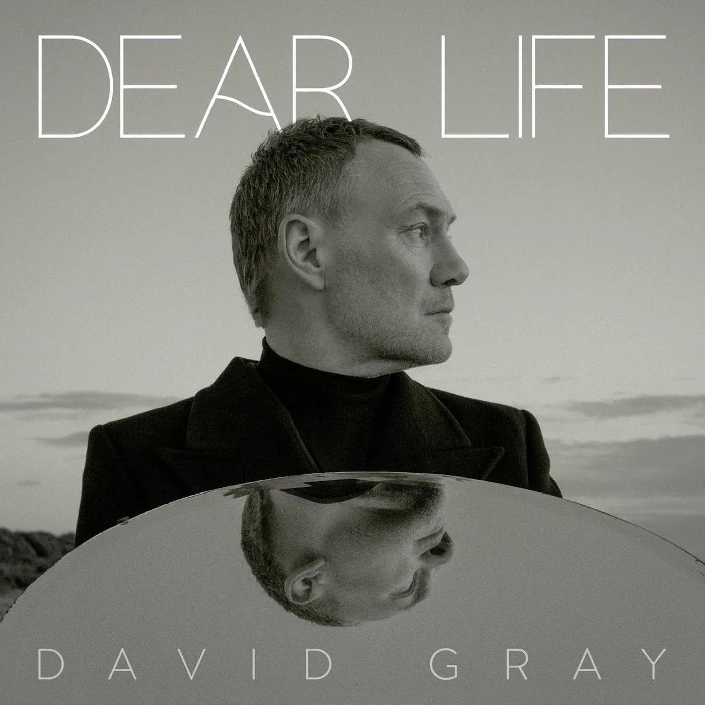 David Gray Dear Life Vinyl Record