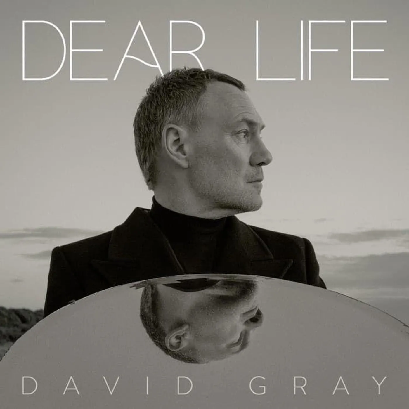 David Gray Dear Life (Seaweed Green) Vinyl Record