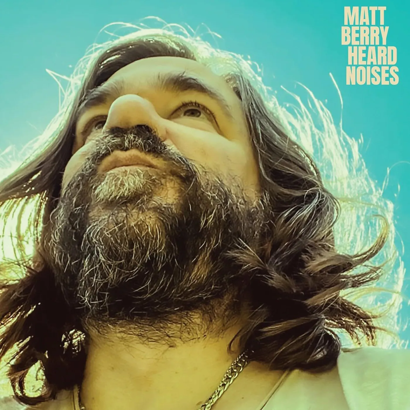 Matt Berry HEARD NOISES - BLUE Vinyl Record - Blue Vinyl, Colored Vinyl